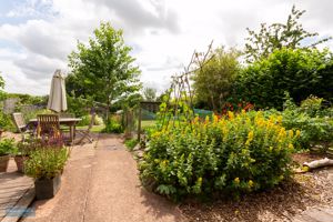 Photo 46- click for photo gallery